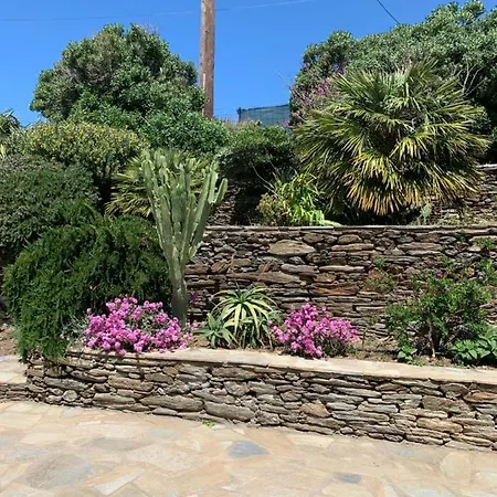 πετρινο στην άνδρο Διαμέρισμα