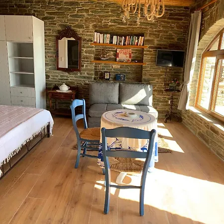 Διαμέρισμα πετρινο στην άνδρο Αγία Ελεούσα