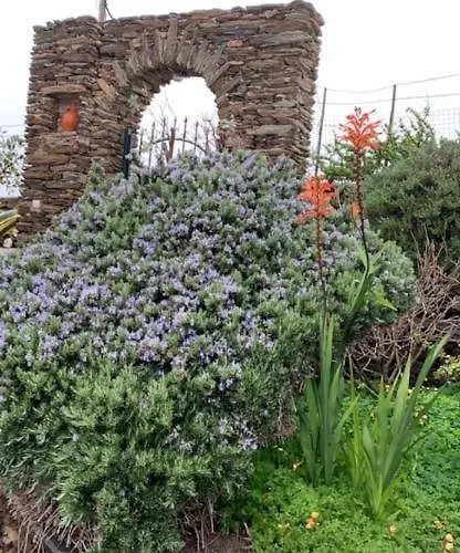 πετρινο στην άνδρο Apartman *