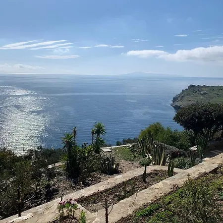 πετρινο στην άνδρο