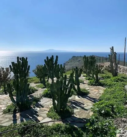 πετρινο στην άνδρο Appartement