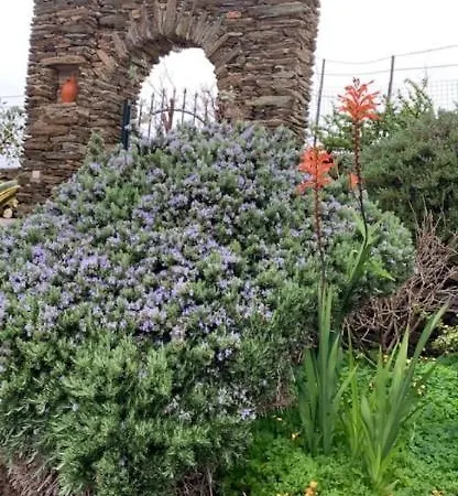 πετρινο στην άνδρο شقة *