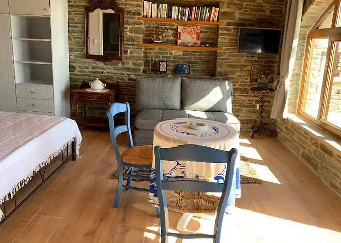 Apartamento πετρινο στην άνδρο Agia Eleousa