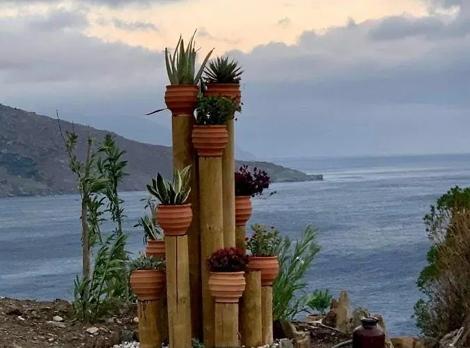 Apartamento πετρινο στην άνδρο Agia Eleousa